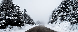 white and black floral area rug, ultrawide, snow, road