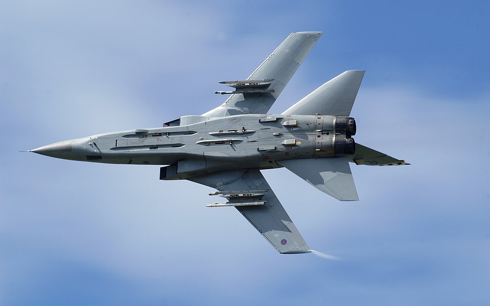gray fighter jet, airplane, military, Panavia Tornado HD wallpaper