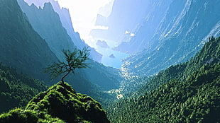 mountain covered with tree and grass, water, trees, nature, valley