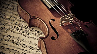 violin HD wallpaper