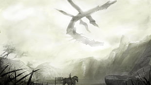 person riding horse illustration, Shadow of the Colossus,  Wander and the Colossus, Wander