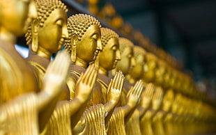 gold buddha HD wallpaper