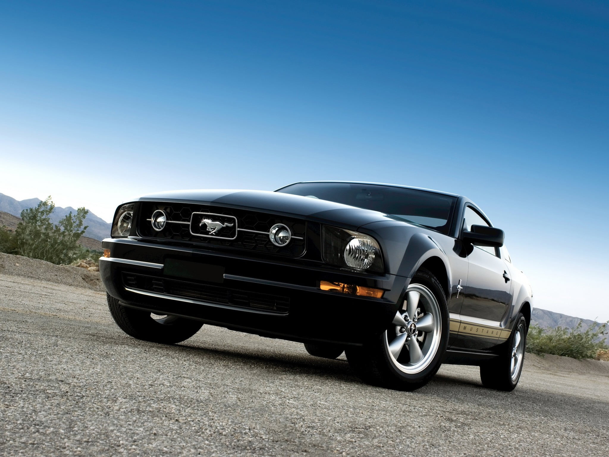 5th Gen Black Ford Mustang Coupe Car Hd Wallpaper Wallpaper Flare