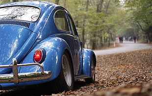 Blue Volkswagen Beetle Vintage Car Surrounded by Dry Leaves during Daytime HD wallpaper