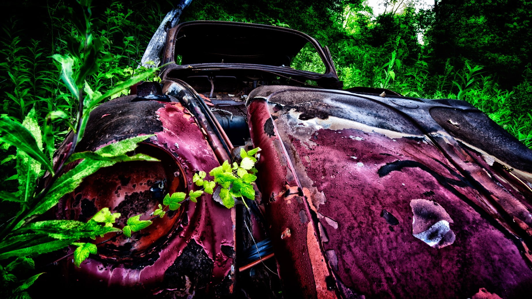 red and black bicycle frame, car, vintage, rust, green