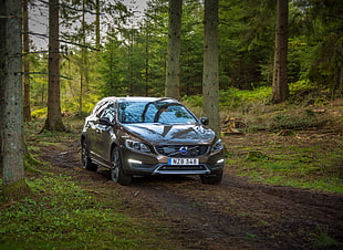 brown Volvo XC90 on the forest