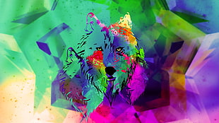 wolf abstract painting digital wallpaper, wolf