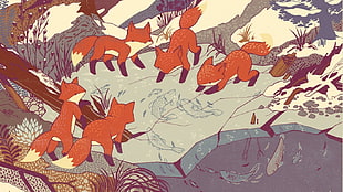 group of red fox wallpaper, furry, animals, fox, fish