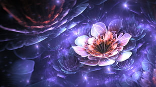 purple lotus flower, fractal, Apophysis, flowers, digital art