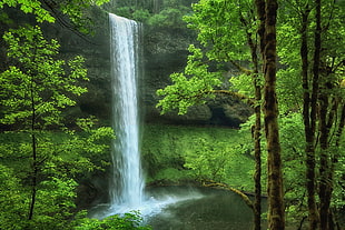 photography of water falls near brown and green trees during day time