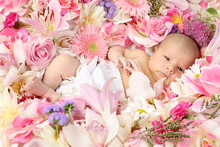 baby in white diaper lying of flowers