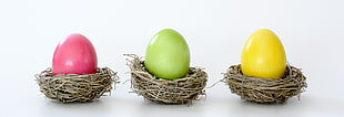 three yellow, green, and pink eggs on nests