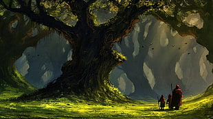 fantasy art, forest