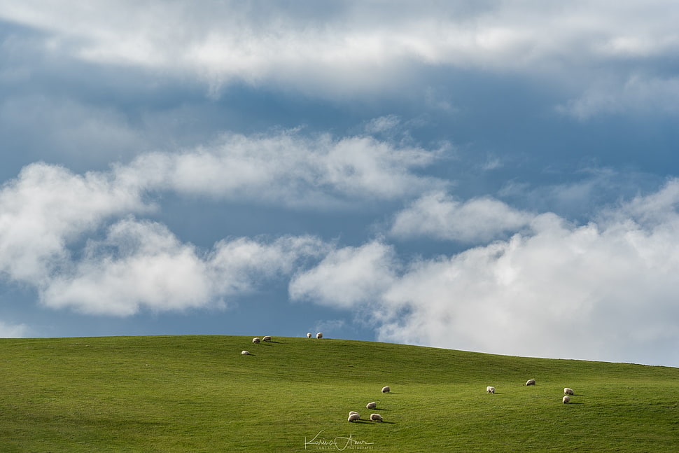 white clouds, Windows XP HD wallpaper
