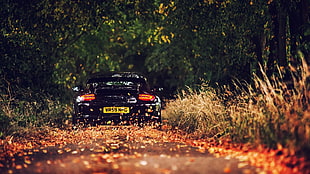 black sports car on road between trees at daytime