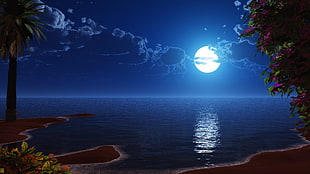 full moon on calm sea painting