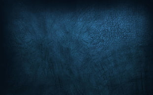  HD wallpaper