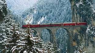 red and black train, tunnel, mountain pass, cliff, train