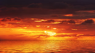 orange sunset, nature, landscape