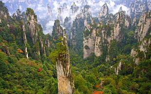 brown mountains, Wulingyuan National Park, China, forest, mountains
