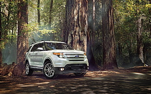 white Ford SUV, Ford Explorer, car, trees, vehicle