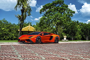 orange Lamborghini Aventador HD wallpaper