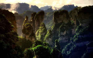 rock mountain, nature, landscape, mountains, forest HD wallpaper