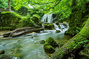falls and forest photo during daytime HD wallpaper