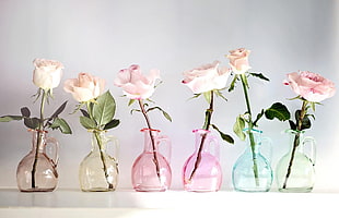 pink Rose flowers in vases