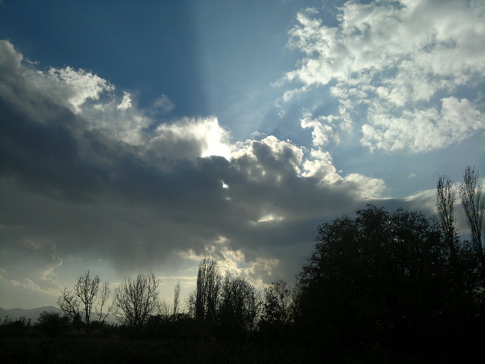 green trees, sky, clouds HD wallpaper