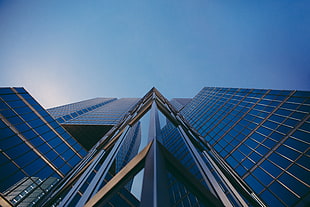low-angle photography of blue curtain walled skyscrapers