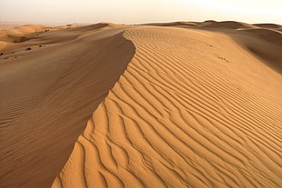 landscape photography of desert, oman HD wallpaper