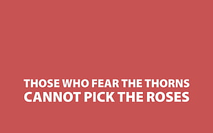 Those whose fear the thorns cannot pick the roses, quote, simple background, minimalism, typography HD wallpaper
