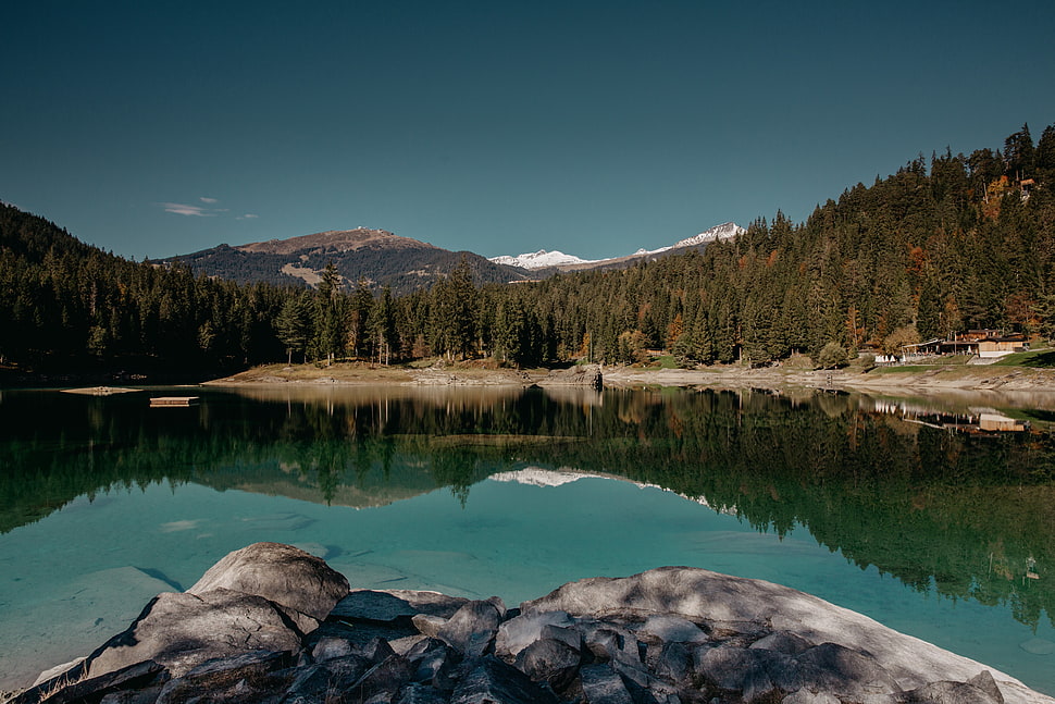 green forest trees, lake, water, reflection, forest HD wallpaper