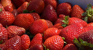 red strawberries, Strawberries, Berries, Ripe