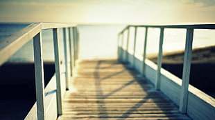 selective focus photography footbridge in front of body of water