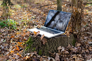 black and white laptop on brown chop tree trunk]