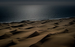 brown sand, night, desert, sea, sand HD wallpaper