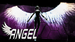 angel illustration, Borderlands, Borderlands 2, video games