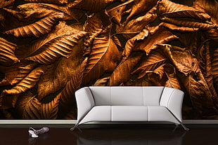 white leather couch, interior