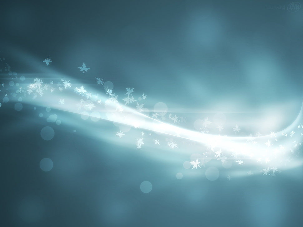 white floral light graphic art HD wallpaper