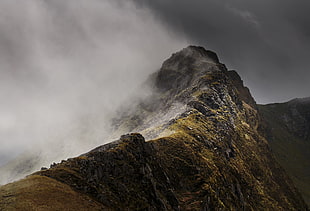 green grass mountain, mountains, clouds, mist, landscape HD wallpaper