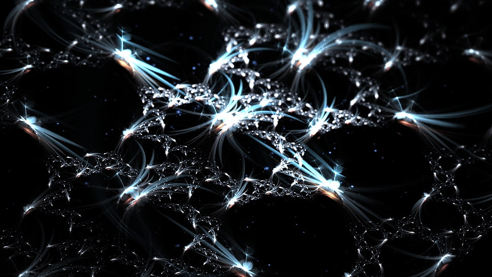 white and black wallpaper HD wallpaper