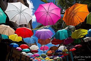 assorted-color umbrella lot, colorful, umbrella, city, urban HD wallpaper