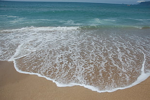 seashore photo