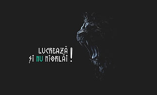 black roaring lion digital wallpaper, lion, brilliancereview, lucreaza