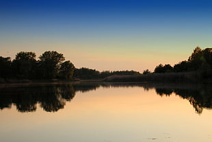 calm body of water near trees under blue sky during daytime HD wallpaper