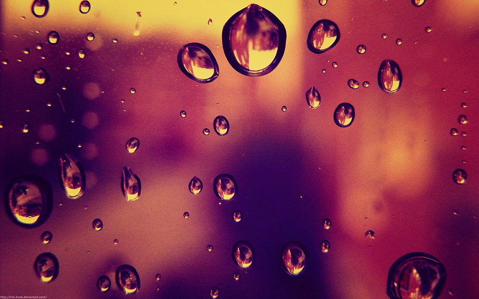 time lapse photo of water drops HD wallpaper