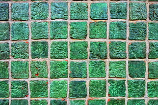 green cube tile, Texture, Surface, Tile