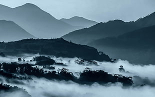 silhouette mountain and fog, nature, forest, Twilight, sunset